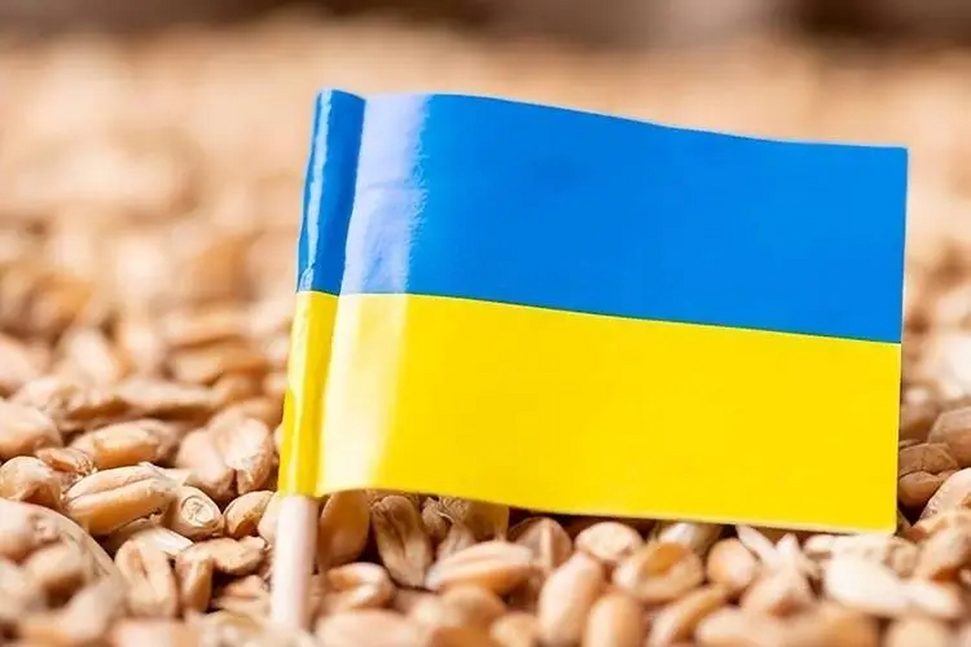 匈牙利-逆转斯洛伐克，出线悬念开启的简单介绍