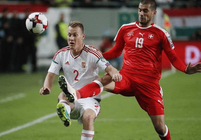 匈牙利逼平法国，出线希望渺茫的简单介绍